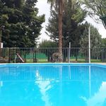 Hilda Aragon - @delfinblanco.eventos - Instagram