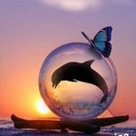 Lauris Caballero - @delfin.blanco.777 - Instagram