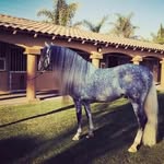 Delfino Gutierrez Perez - @el_sentenario_99 - Instagram
