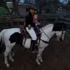delfinogutierrez76 - @delfinogutierrez76 - TikTok