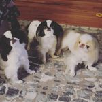 Delia Burke - @deels1027 - Instagram