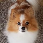 Delia Burke Duncan - @deliadhmama - Instagram