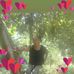 Delia Guzman - Facebook