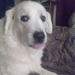 Delia Howell - @wytch70 - Instagram
