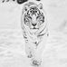 Delia Robinson - Facebook