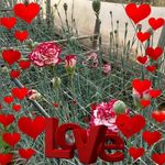 Delia Rocha - @delia.rocha.5268 - Instagram