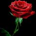 Delia Rubio - Facebook
