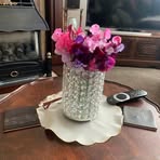 Delia Scott - Facebook