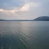 Delia Shears - @delia.shears - TikTok