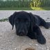 Delilah Becker - Facebook
