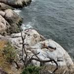 Kerry Winkler - @delilahdeckers588 - Instagram