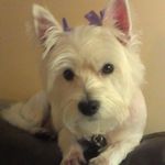 Delinda Smith - @punkin4980 - Instagram