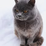 Delisa White - @delisawhite30 - Instagram