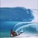 Travis Delima - Facebook