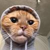 dellbeanpolio - @dellbeanpolio - TikTok