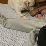 Dell & Bell - @dellbell1213 - Instagram