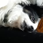 della young - @dellbell14 - Instagram