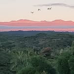 Dell Bolos - @alohafrombigisland - Instagram