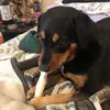 Dell Brown - @dell.brown5 - TikTok