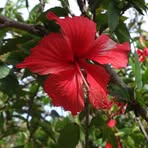 Dell Brunson - Facebook
