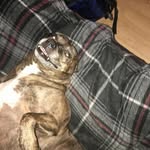 Conner Dell - @connerdell7 - Instagram
