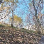 dell cooper - @dell8530bs - Instagram