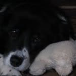 Dell Cooper - @dellcooper - Instagram