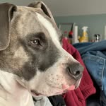 Kyndelle Cooper - @kyndelle.cooper - Instagram