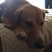 William Dell Gray - Facebook