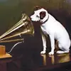 dellhoward818 - @dellhoward818 - TikTok
