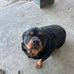 Dell Johnson - Facebook