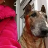 dellarobinson841 - @dellarobinson841 - TikTok