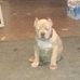 Dell Williams - Facebook