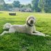 Dell Williams - Facebook