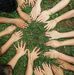 Gli amici della Scuola d'infanzia Andersen Caiello v.Liberazione - Facebook