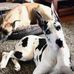 Della Barnes - Facebook