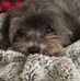Della Betts - Facebook