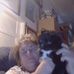 Della M Erickson - Facebook