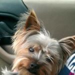 Della Greer - @littlebitty37879 - Instagram