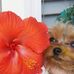Della Ann McMinn Howell - Facebook