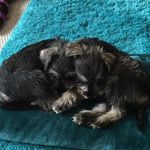 Della Miller - @della.miller.9843 - Instagram