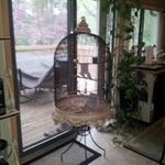 Della Miller - @della5066 - Instagram