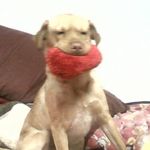 Della Miller - @dellamiller50 - Instagram