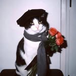 Dalle - @dell.amoore - Instagram