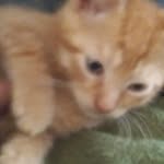 Della Nelson - @dtnelson0809 - Instagram