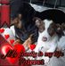 Della Norris - Facebook