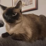 Della Patterson Tenny - @dtenny00 - Instagram