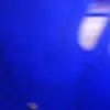 dellapatterson1957fg - @dellapatterson1957yy - TikTok