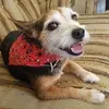 Della Poole - @della.poole8 - TikTok