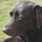 Dea Della Rands Porter - @dea.porter - Instagram